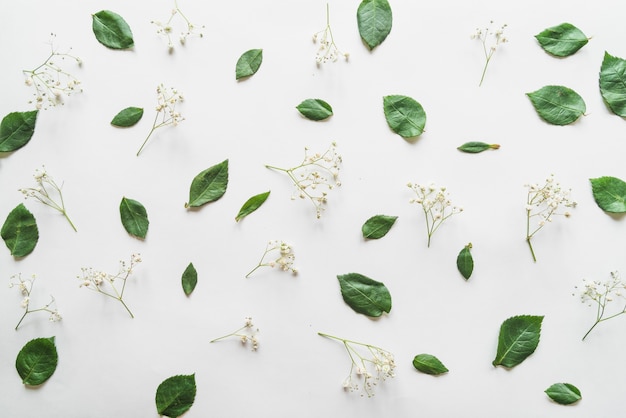 Top view of flowers and leaves