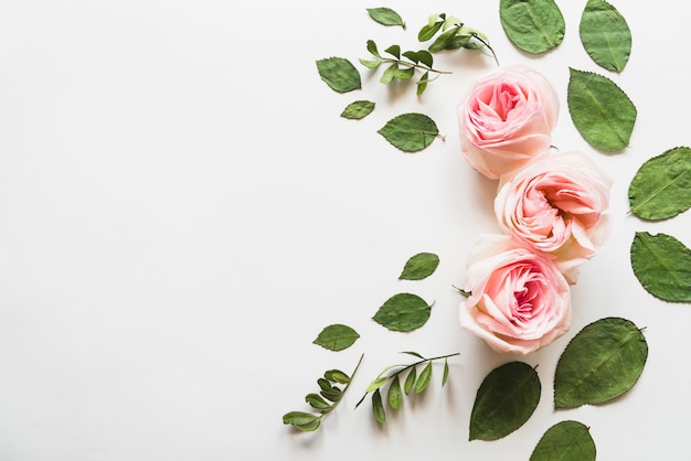 Top view of flowers and leaves