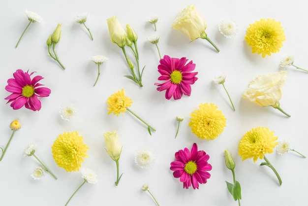 Top view of flowers and leaves