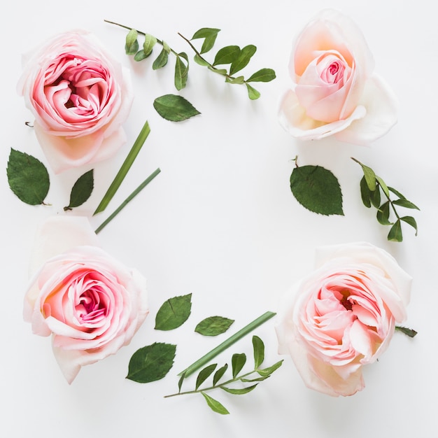 Top view of flowers and leaves