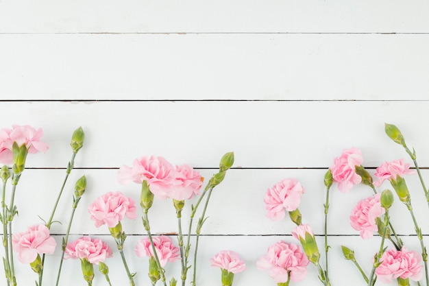 Free photo top view flowers line on wooden background