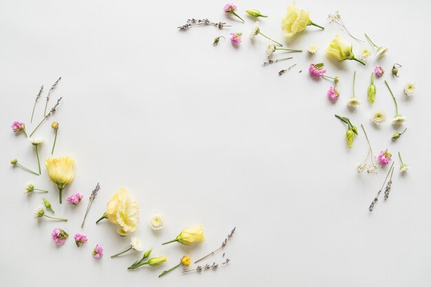 Top view of flowers and petals