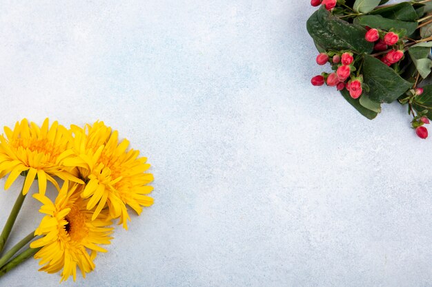 Top view of flowers on sides and white with copy space