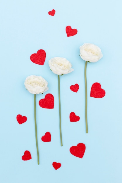 Top view of flowers and valentines day hearts