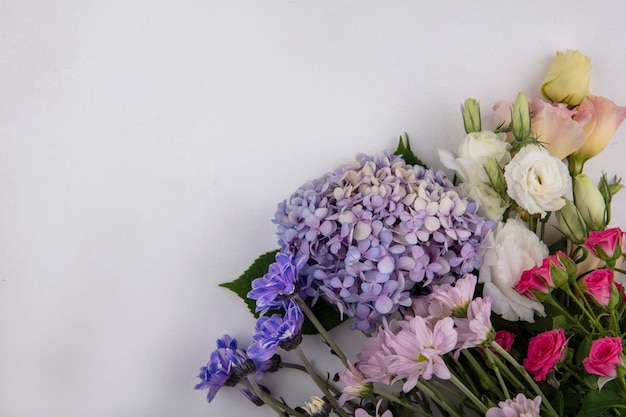 Top view of flowers on white background with copy space