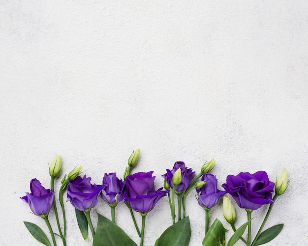 Top view flowers with copy-space