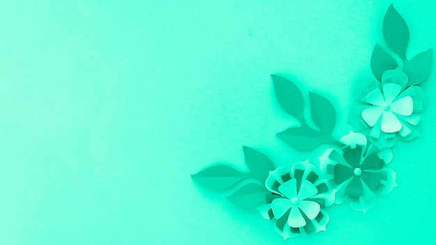 Top view of flowers with leaves and copy space