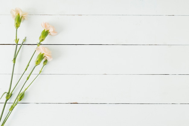 Top view flowers on wooden background with copy space