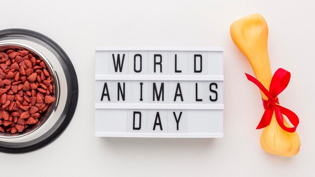 Top view of food bowl with bone and light box for animal day