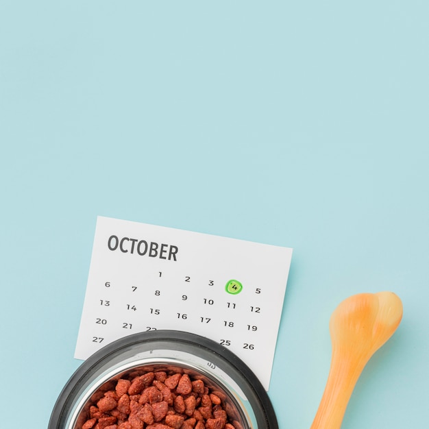 Top view of food bowl with calendar and bone for animal day