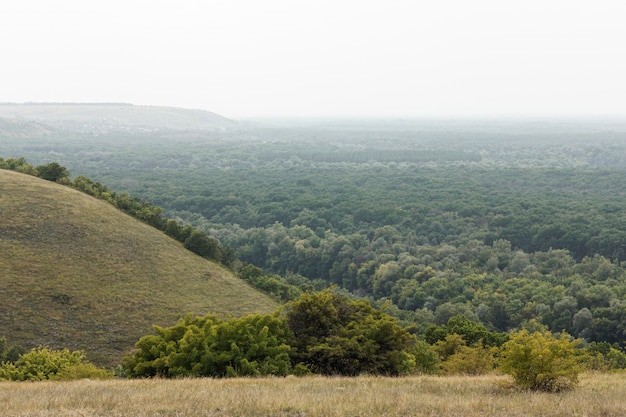 Free Photo top view forest in autumn 