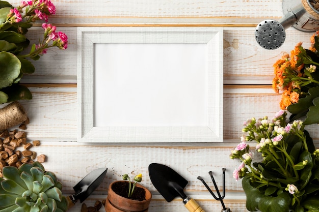 Top view frame of flowers