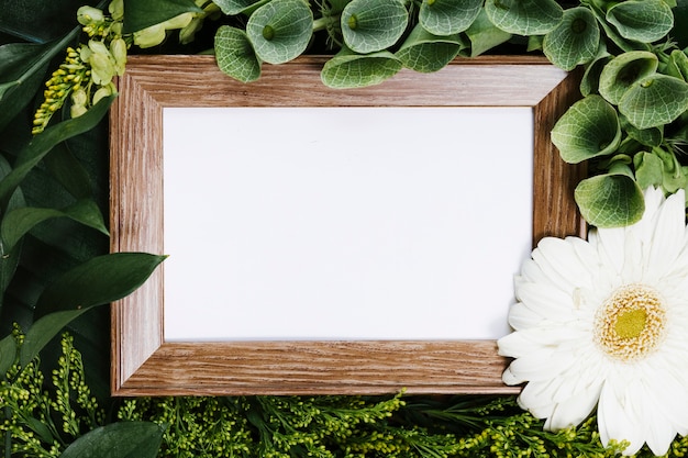 Top view frame between leaves