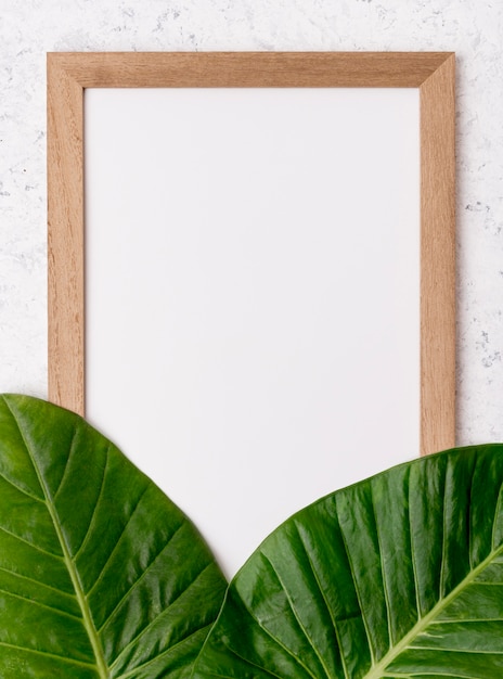 Top view frame with green leafs