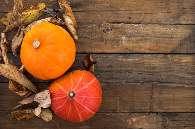 Top view frame with leaves and pumpkins