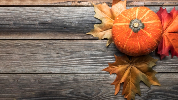 Free Photo top view frame with pumpkin and colourful leaves