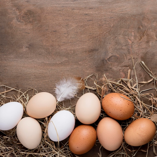 Top view fresh chicken eggs