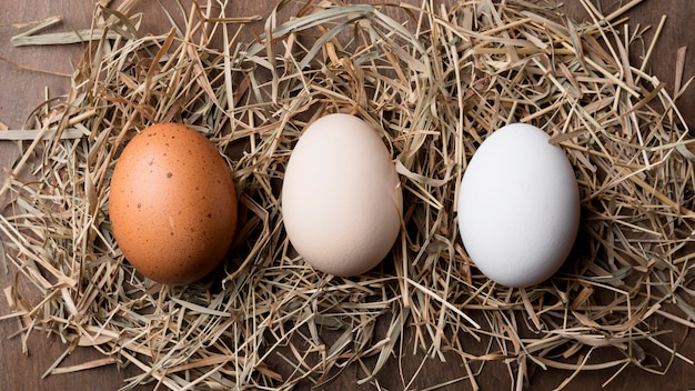 Top view fresh chicken eggs