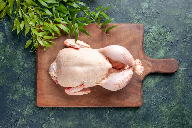 Top view fresh chicken with green leaves on dark-blue surface