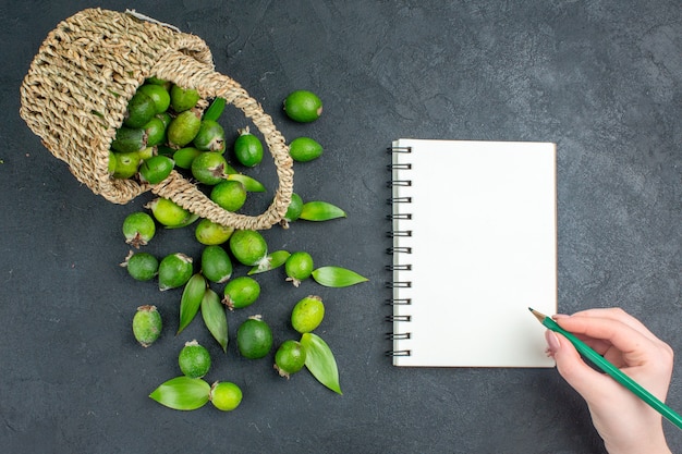 Free photo top view fresh feijoas in basket pencil in female hand on notebook on dark surface