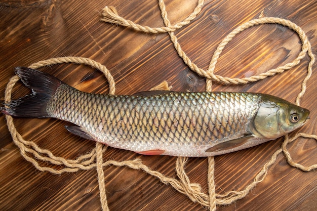 Top view fresh fish with ropes on wooden desk