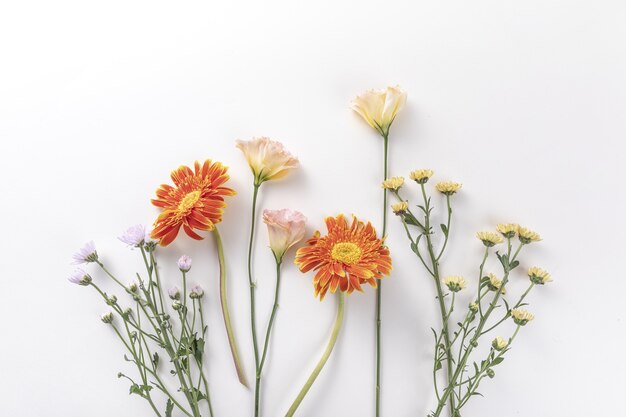 Top view of fresh flowers isolated on a white wall