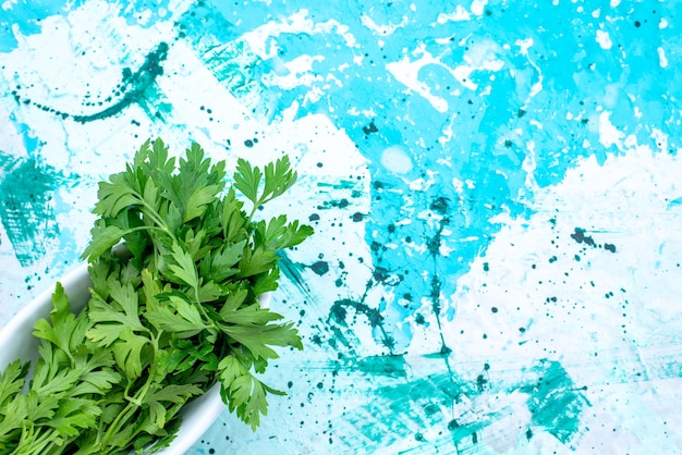 Free photo top view of fresh greens isolated inside plate on bright-blue desk,  green leaf product food meal