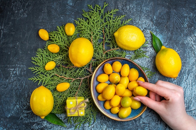 Top view of fresh lemons with leaves hand taking one of kumquats fir branches a gift box on dark background