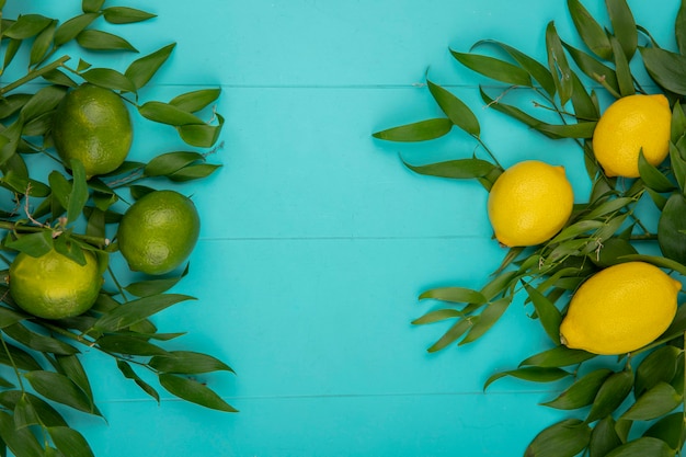 Top view of fresh yellow and green lemons with leaves on blue with copy space