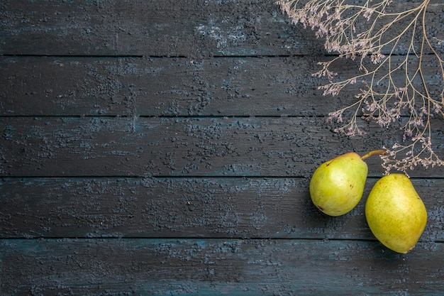 Free photo top view from afar branches and pears two ripe pears next to tree branches on the right side of the table