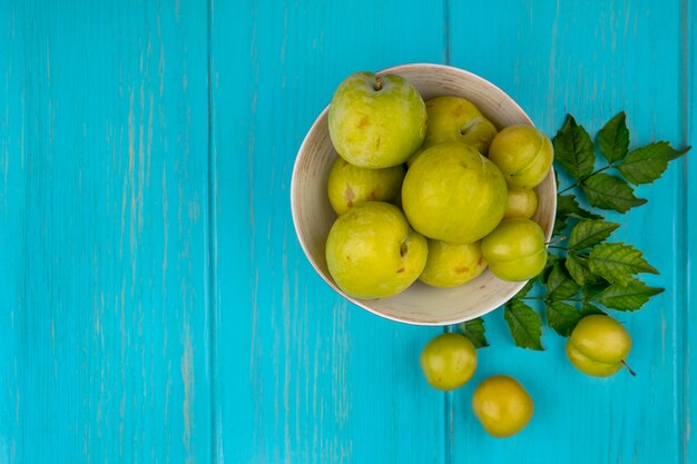 Top view of fruits as plums and green pluots in bowl with leaves on blue background with copy space