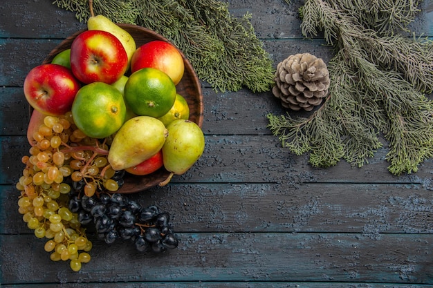 Top view fruits and branches white and black grapes limes pears apples in bowl next to spruce branches on grey surface