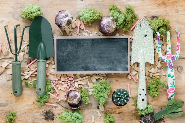 Free Photo top view of gardening equipments; turf; cactus plant; chalk; and blank slate on brown wooden table