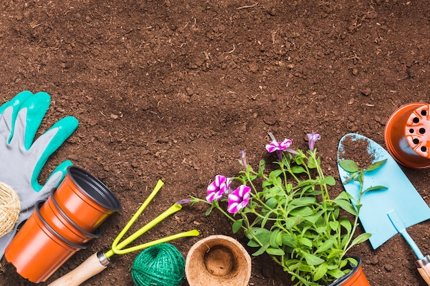 Top view of gardening tools on the ground