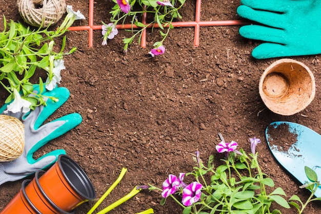 Top view of gardening tools on the ground