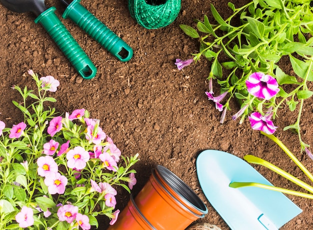 Free photo top view of gardening tools on the ground