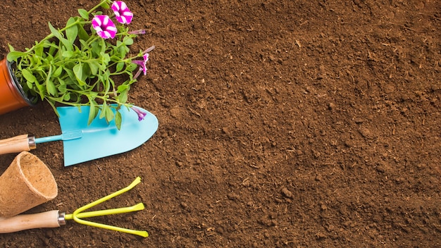 Free photo top view of gardening tools on the ground