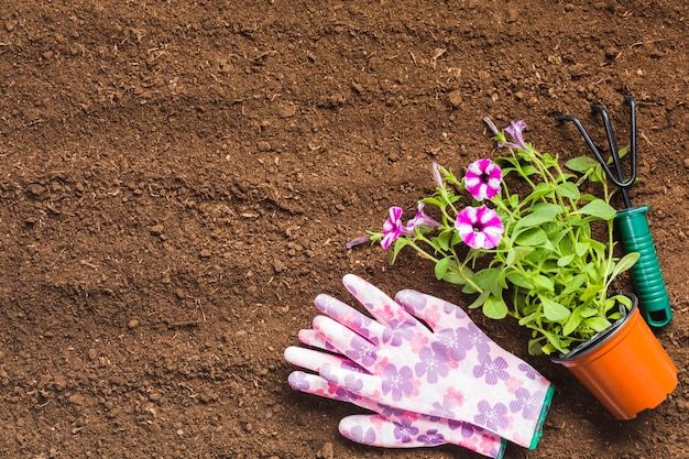 Top view of gardening tools on the ground