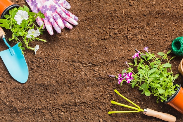 Top view of gardening tools on the ground