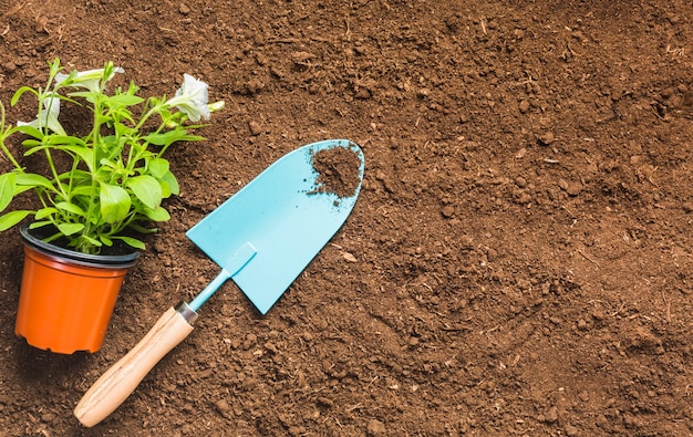 Top view of gardening tools on the ground