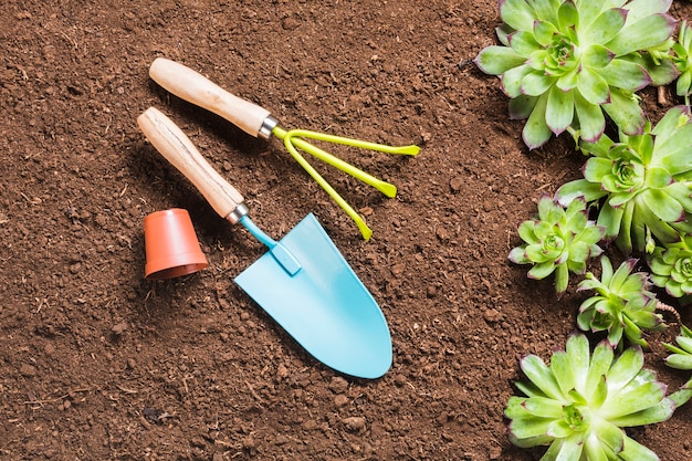 Top view of gardening tools on the ground