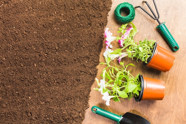 Top view of gardening tools on the ground