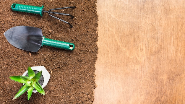 Top view of gardening tools on the ground