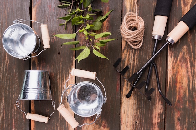 Top view of gardening tools and plant