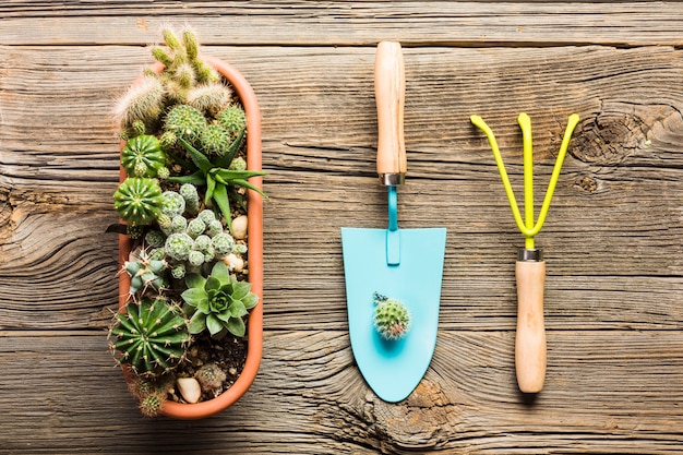 Free Photo top view of gardening tools on the wooden floor