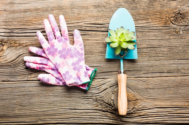 Free photo top view of gardening tools on the wooden floor