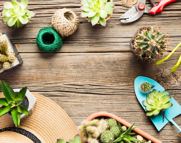 Free Photo top view of gardening tools on the wooden floor