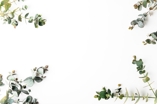 Top view of green leaves