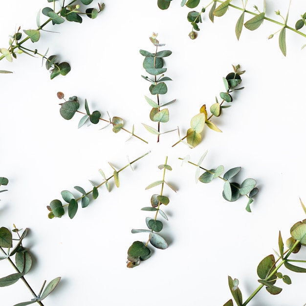 Top view of green leaves