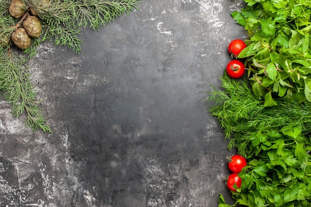 Top view greens and tomatoes on dark surface